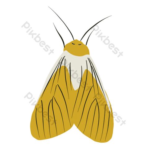 gamu gamo drawing|Moths (gamu.